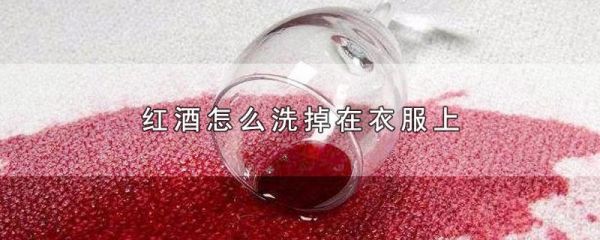 衣服上的红酒怎么去除