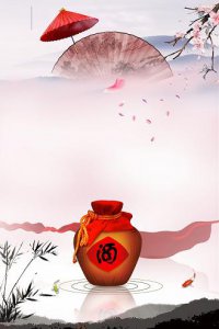 ​五粮液华宴 珍品(五粮液华宴珍品怎么样)