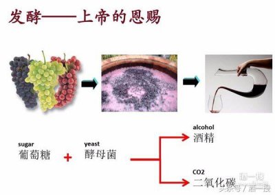 ​葡萄酒皮渣分离后酒液还会发酵