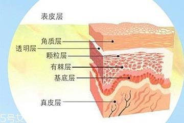 油皮敏感肌怎么去角质 手把手教你去角质