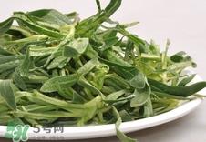 面条菜是发物吗?面条菜孕妇可以吃吗?