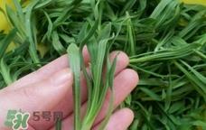 面条菜是发物吗?面条菜孕妇可以吃吗?