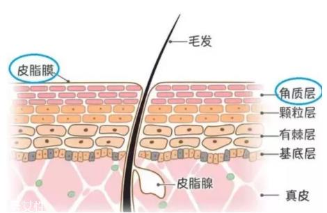 bb霜和粉底液哪个好 bb霜挑选技巧