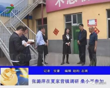 ​交城：张潞萍在夏家营镇调研 桑小平参加